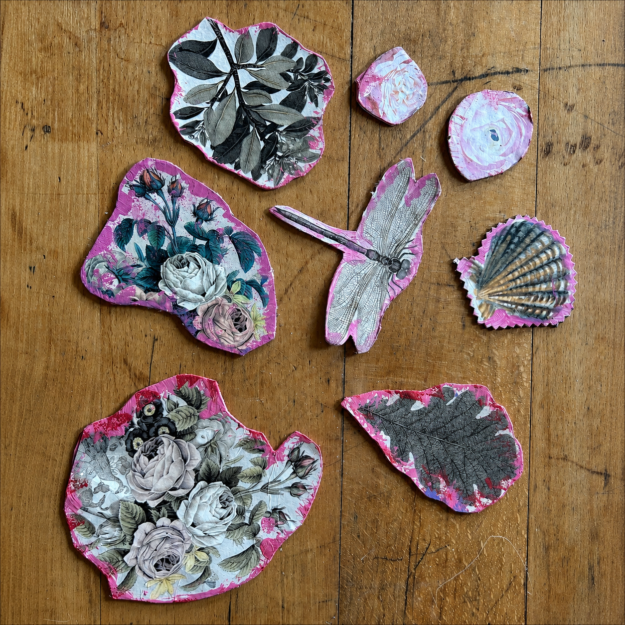 8 Magnete Floral & Tiere