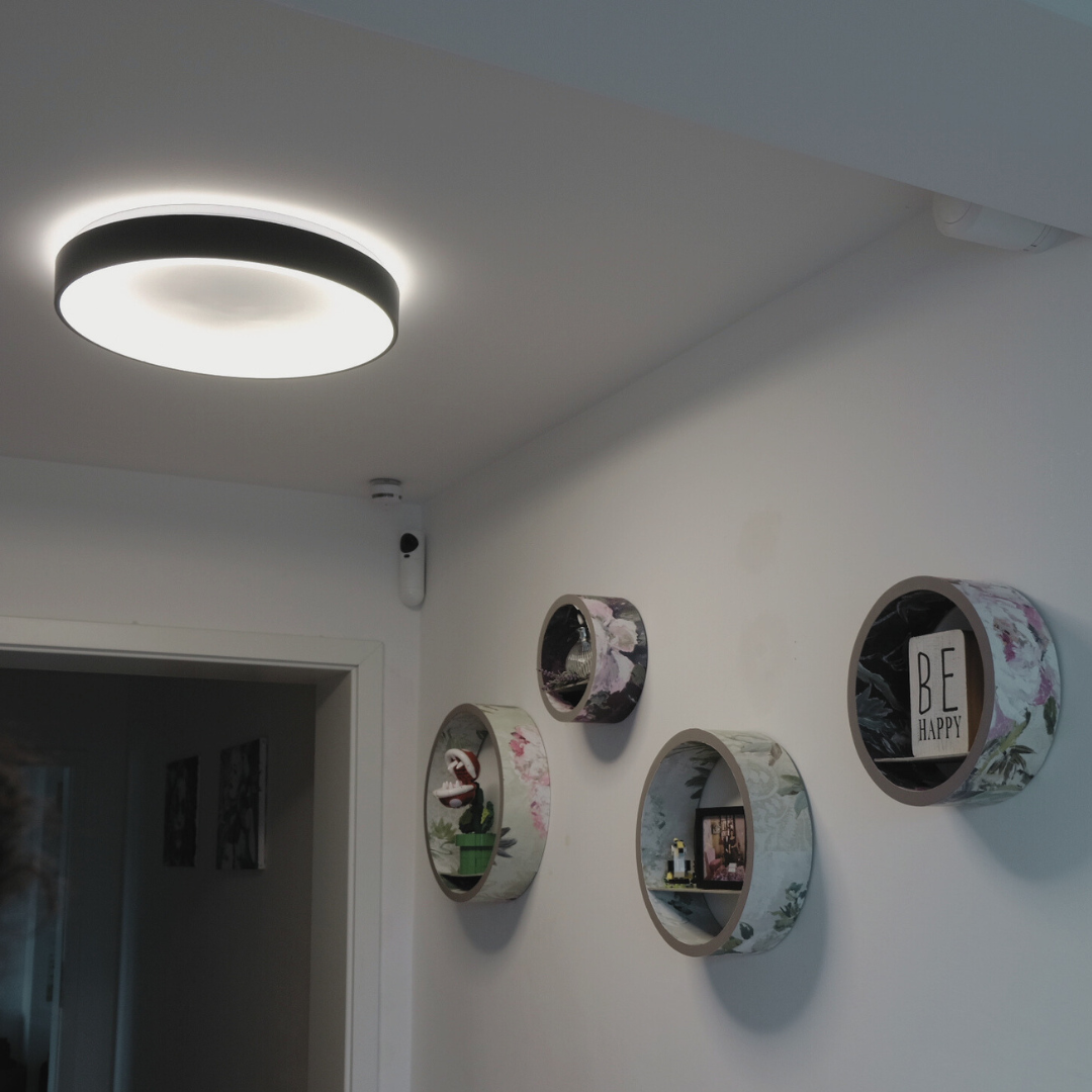 4er Set: Runde Regale, Upcycling aus Tapete – Exklusiv