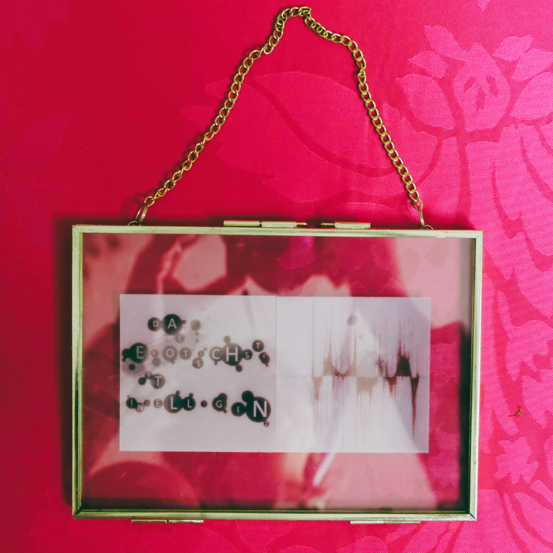 YAGEMEDIA Grafik „Das Erotischste ist Intelligenz“ – Typografische Kunst mit starkem Statement